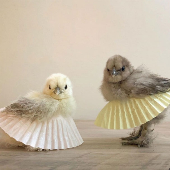 Meet your Posher, Leonard7376 - Picture 1 of 1